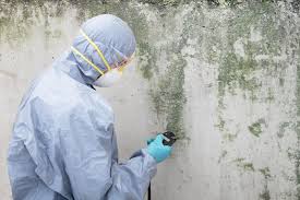 Best Mold Removal for HVAC Installations  in Buchanan, GA